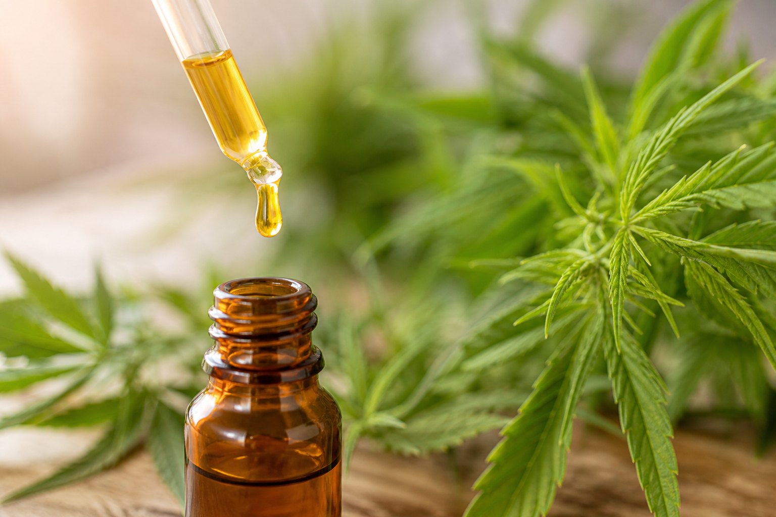 CBD oil dropper dispensing golden oil with hemp leaves